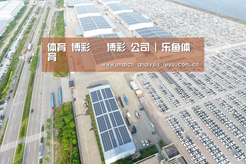 案例展示三