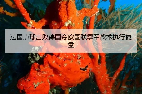 法国点球击败德国夺欧国联季军战术执行复盘